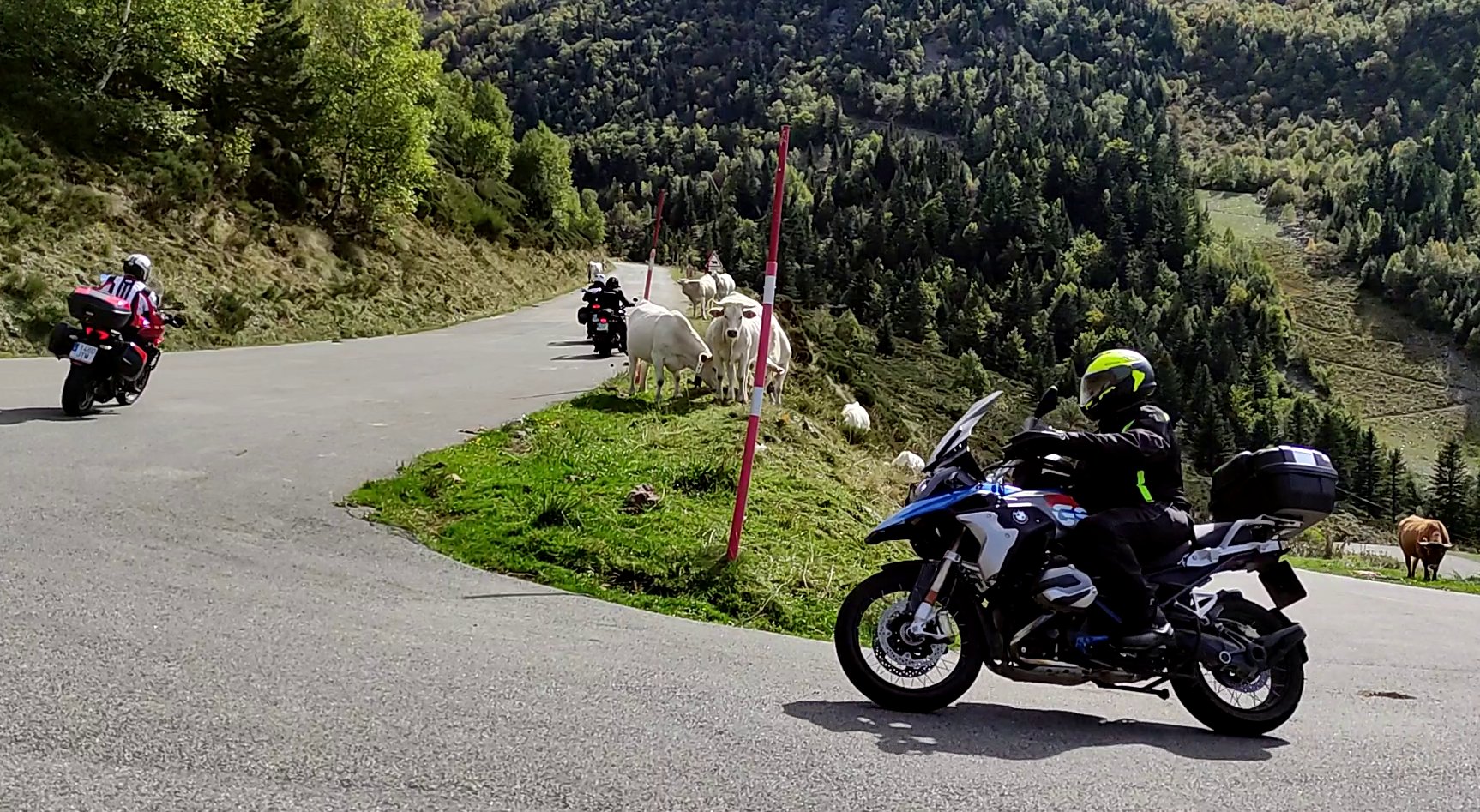 Motoristes Background