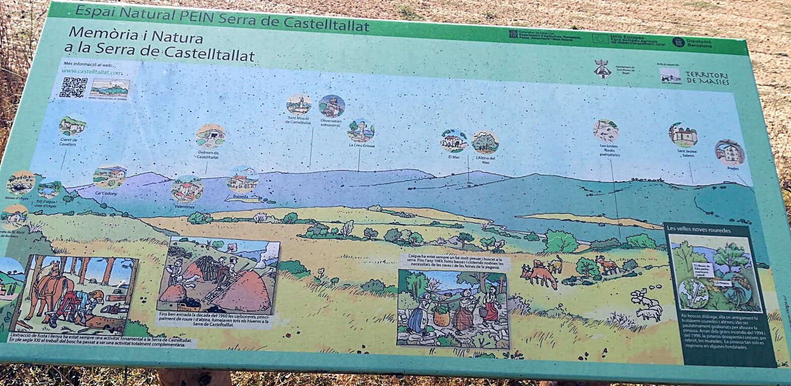 Imatge representativa