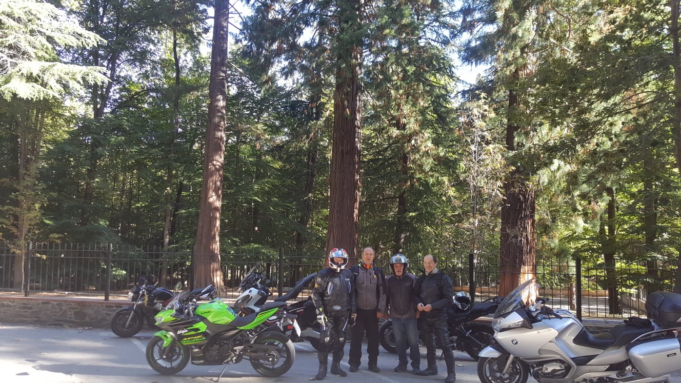 Imatge representativa