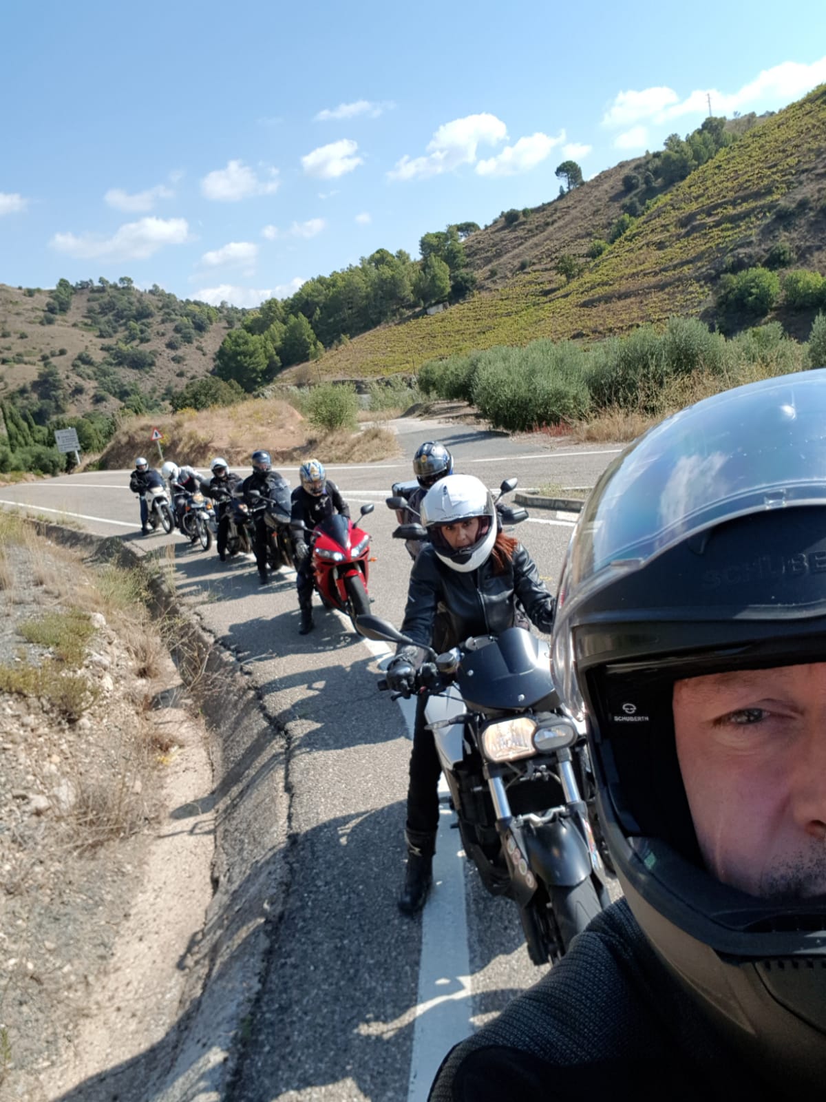 Imatge representativa