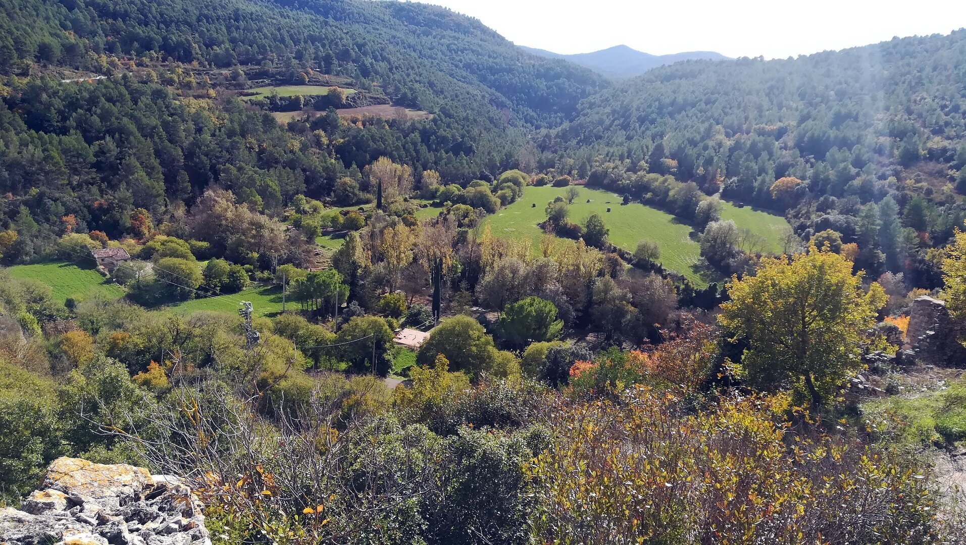 Imatge representativa