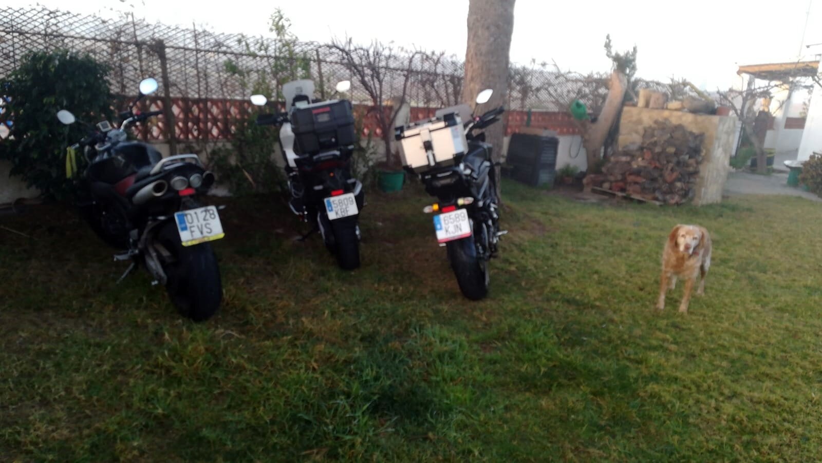 Imatge representativa