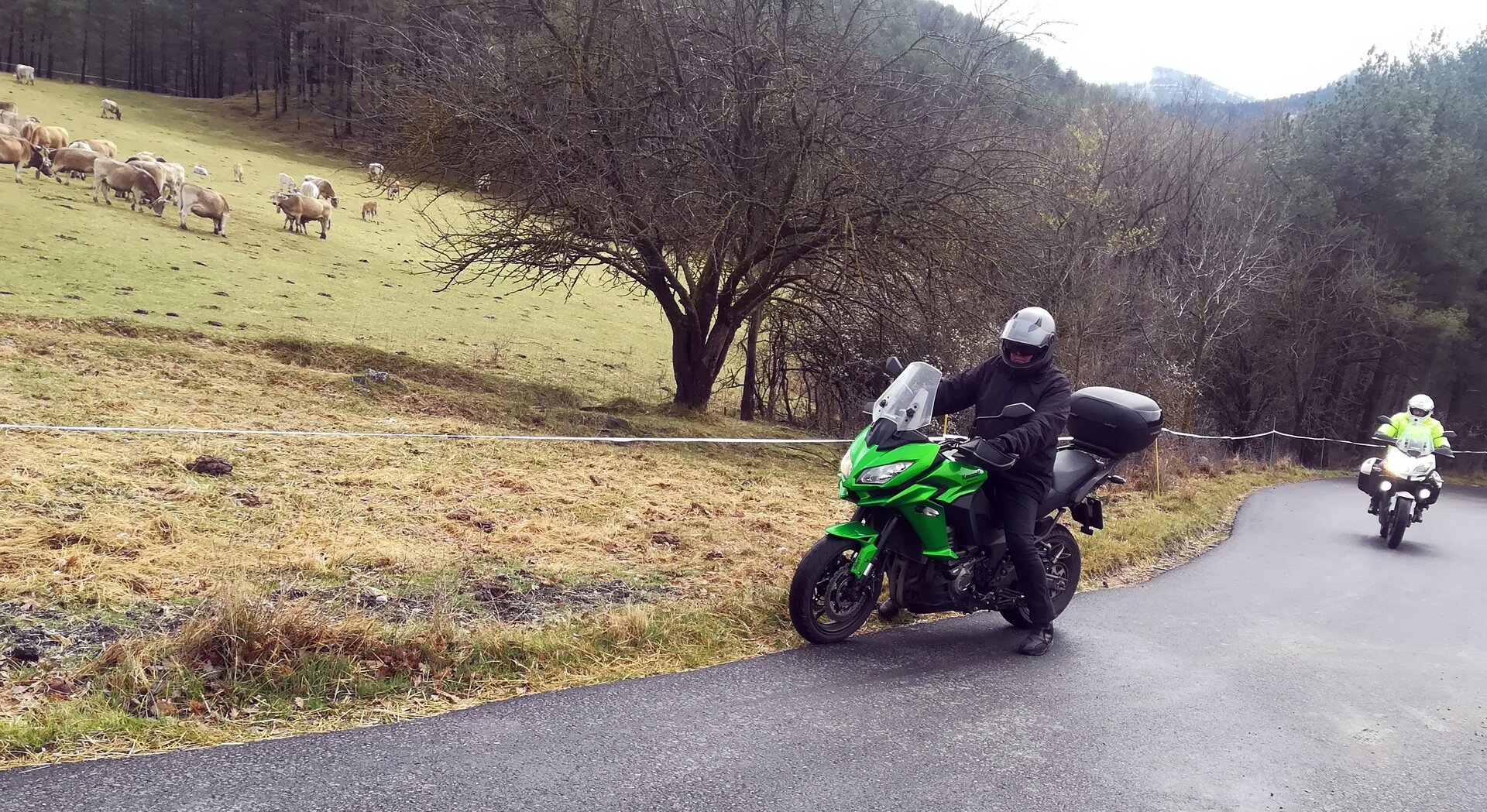 Imatge representativa