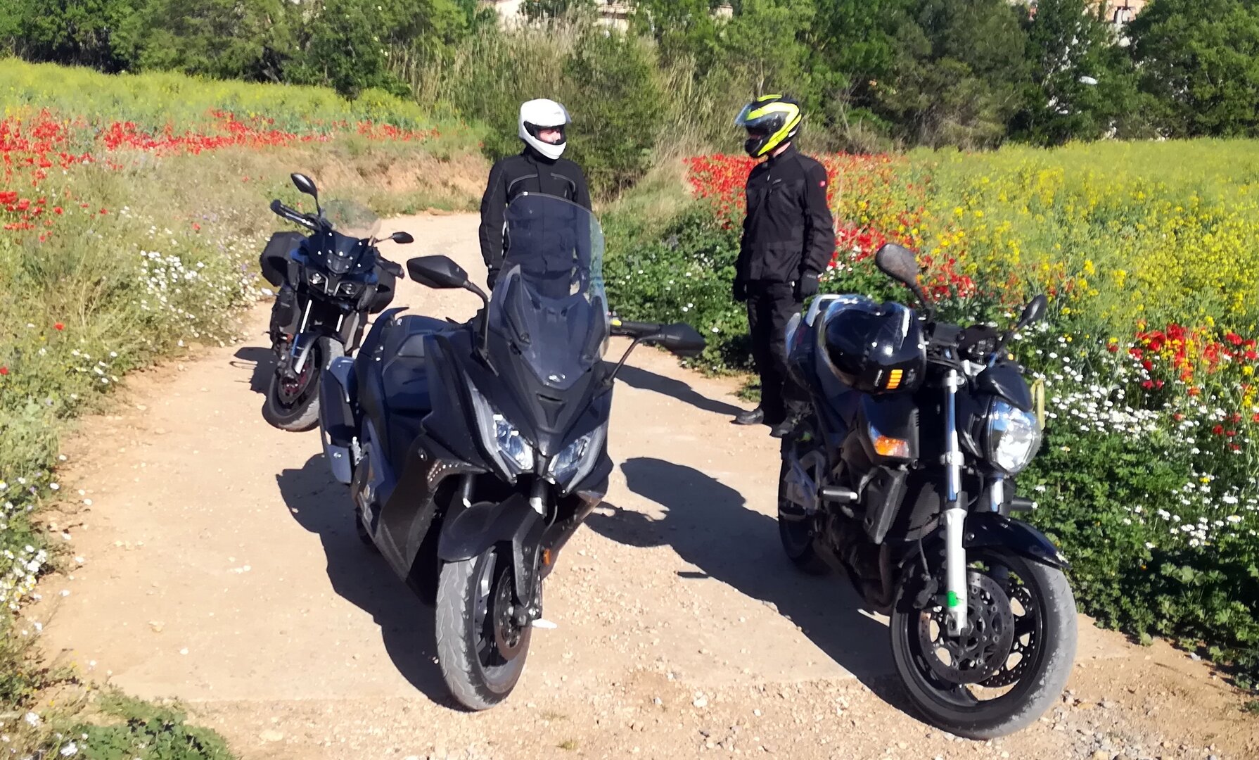 Imatge representativa