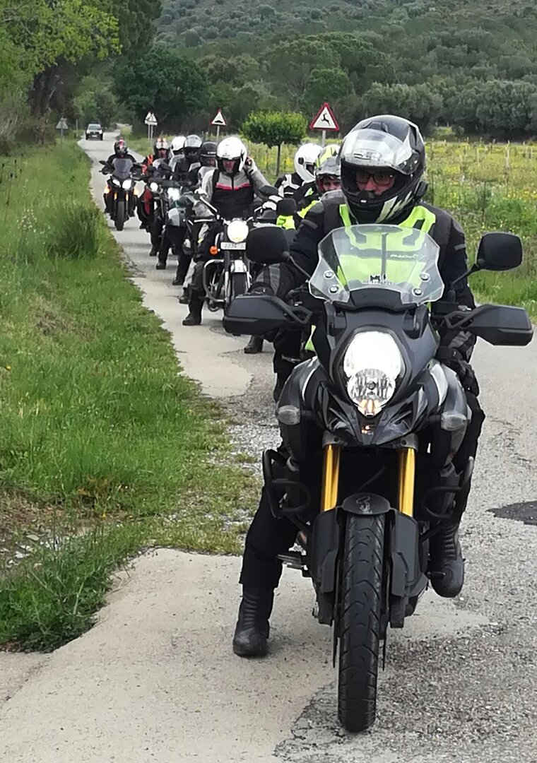 Imatge representativa