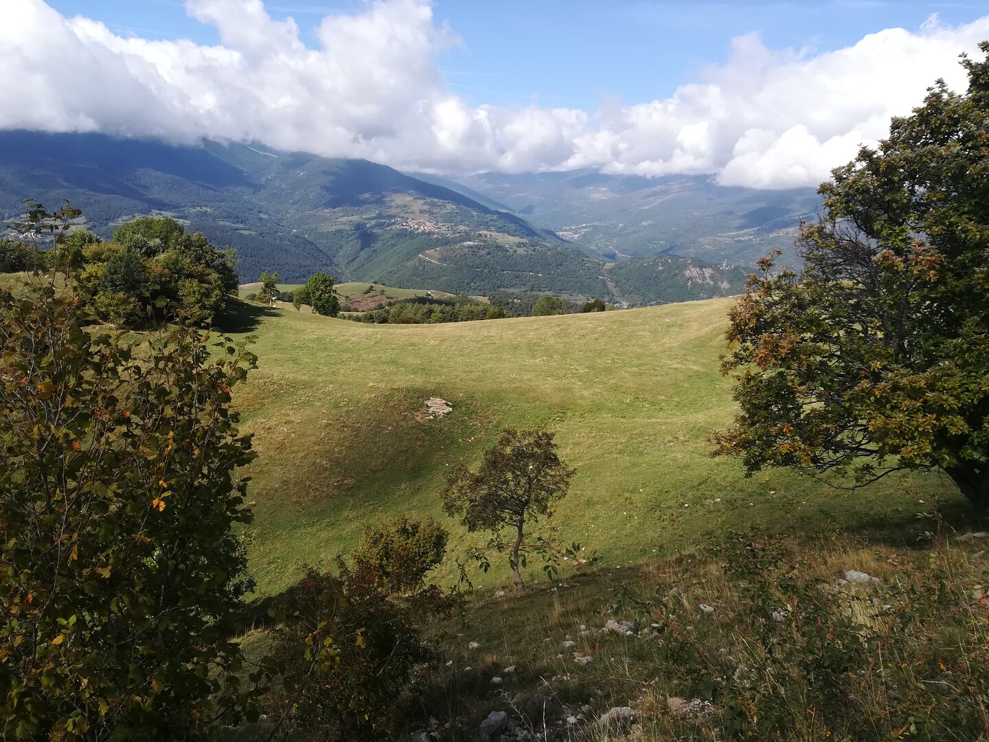 Imatge representativa