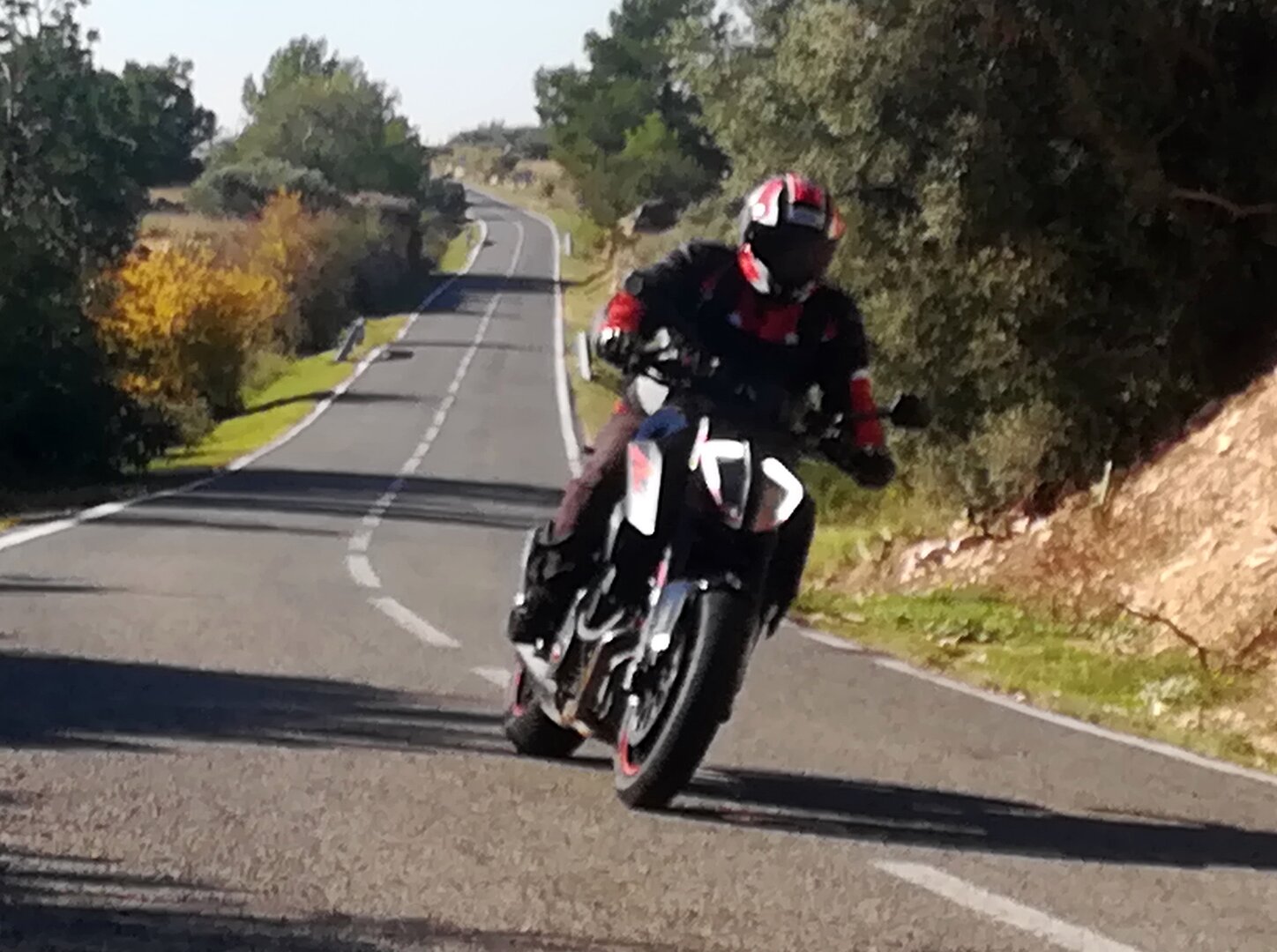 Imatge representativa