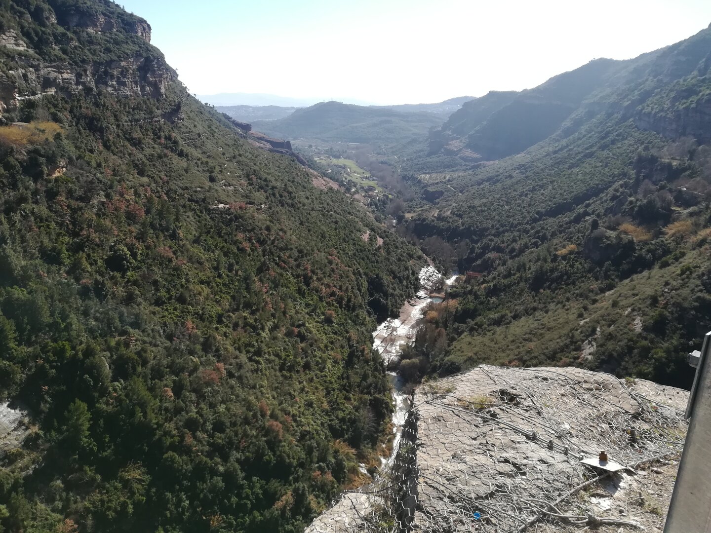 Imatge representativa