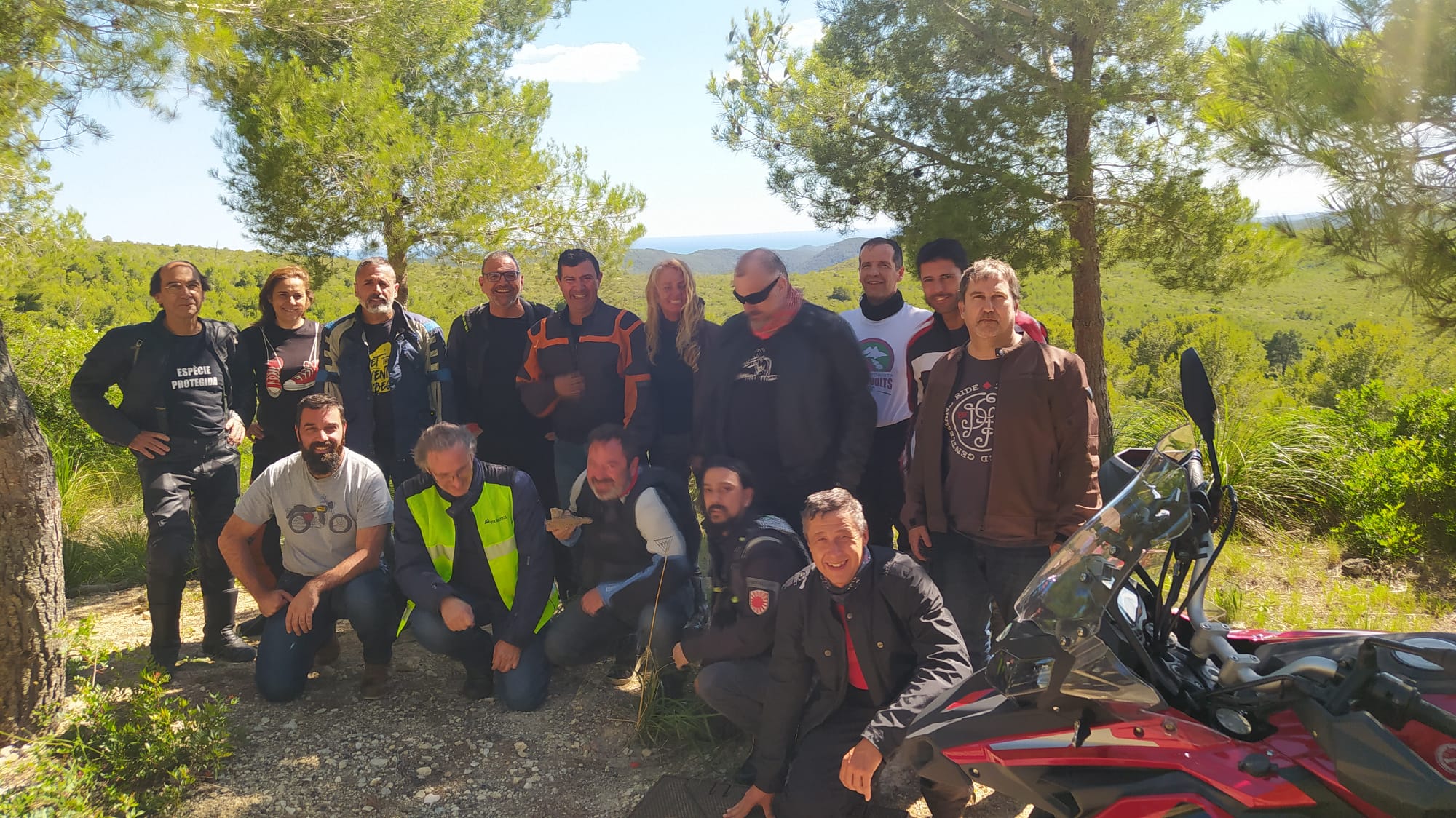 Imatge representativa