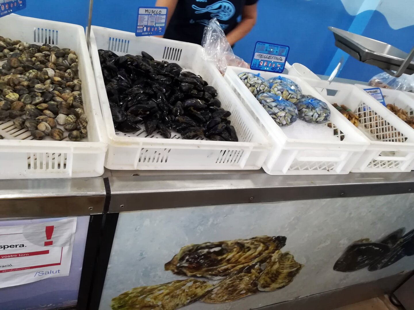 Imatge representativa