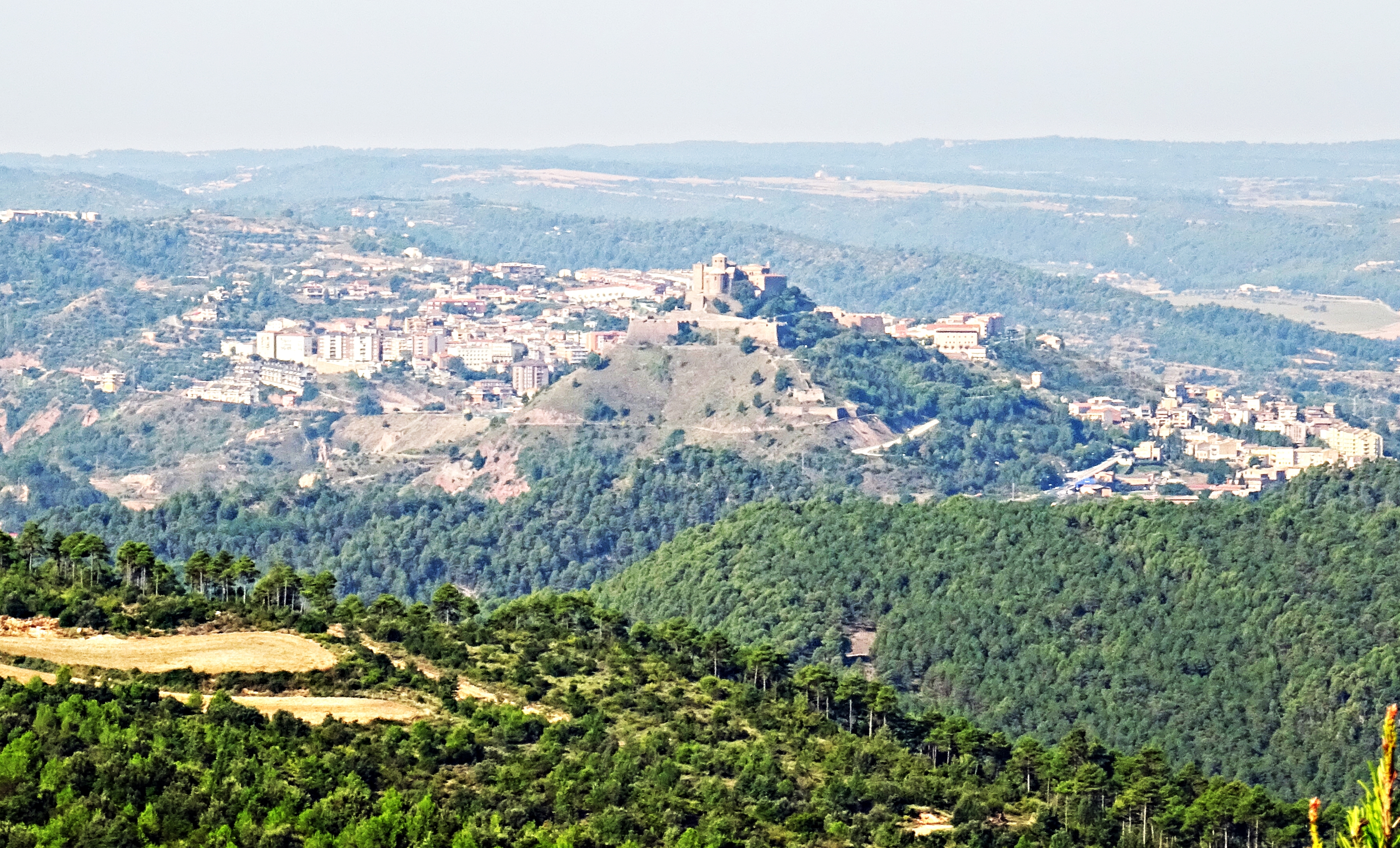 Volta matinal al Lluçanès i Berguedà. El Llaç central desxtrogir.
