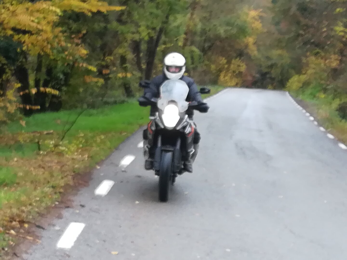 Imatge representativa