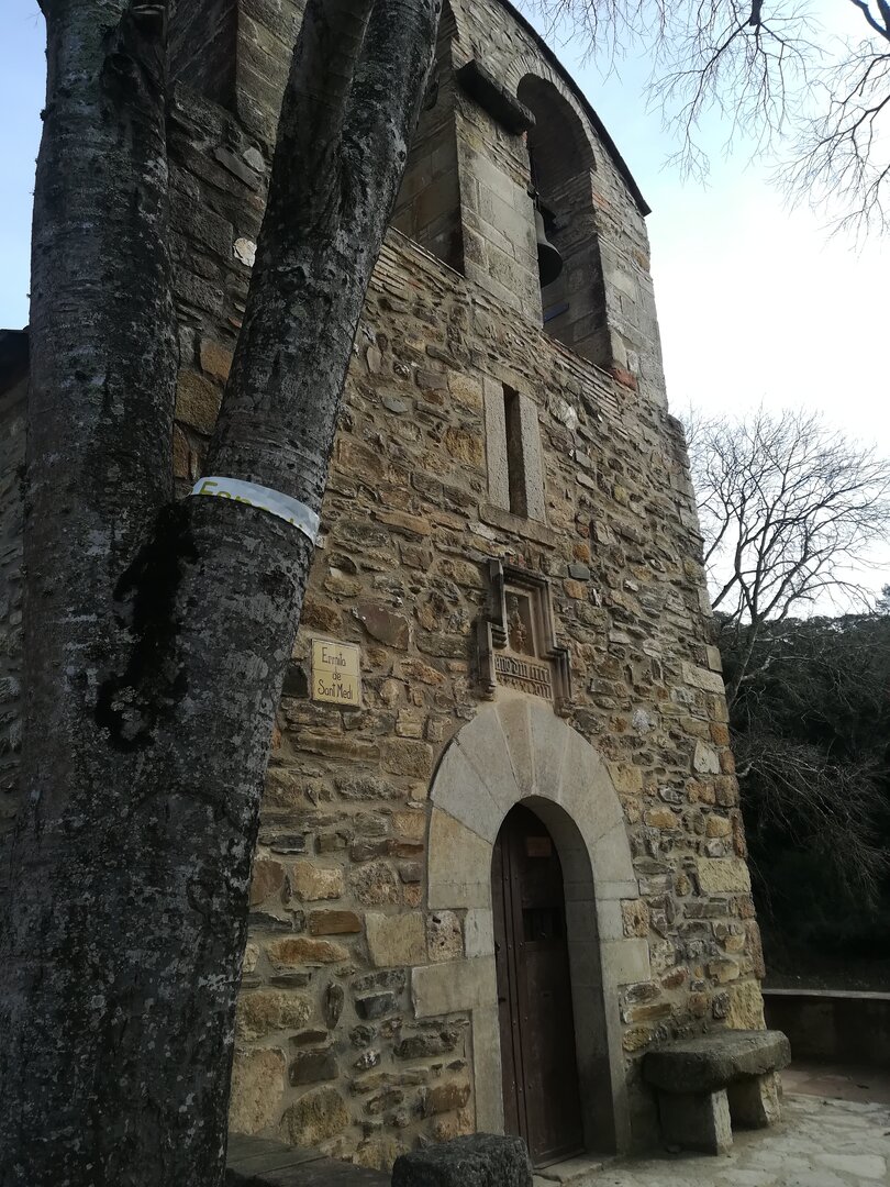 Sortida a Collserola_3