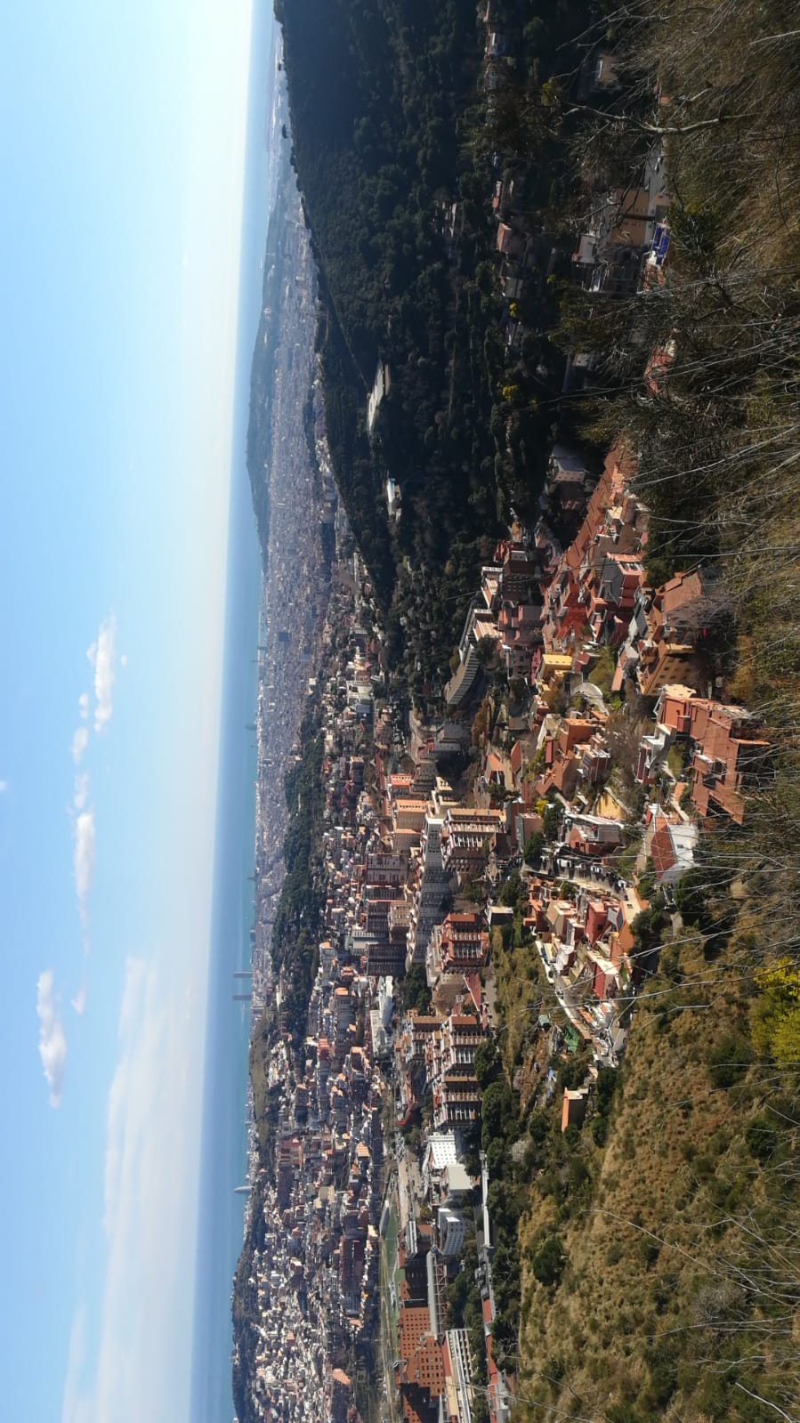 Imatge representativa