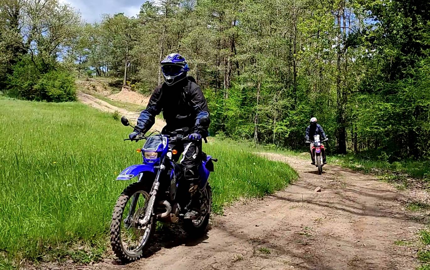 Imatge representativa