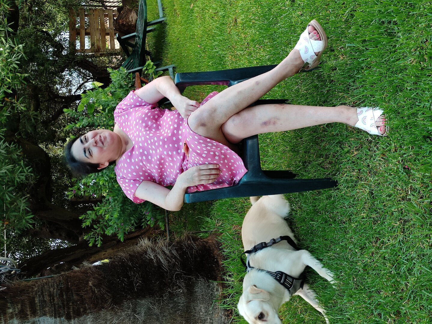 Imatge representativa