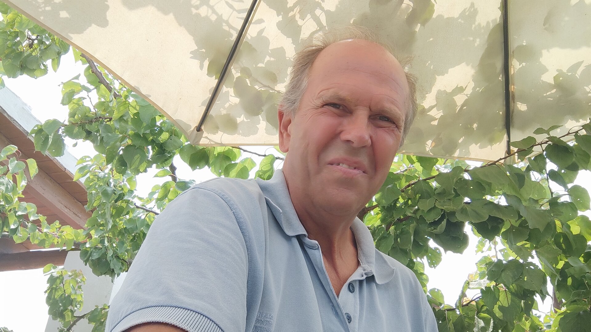 Imatge representativa