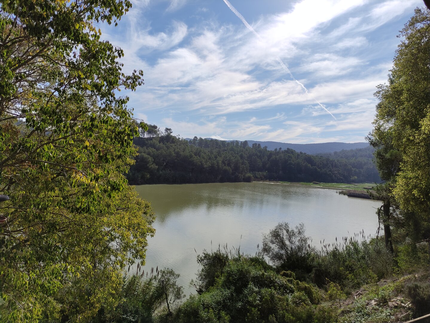 Imatge representativa