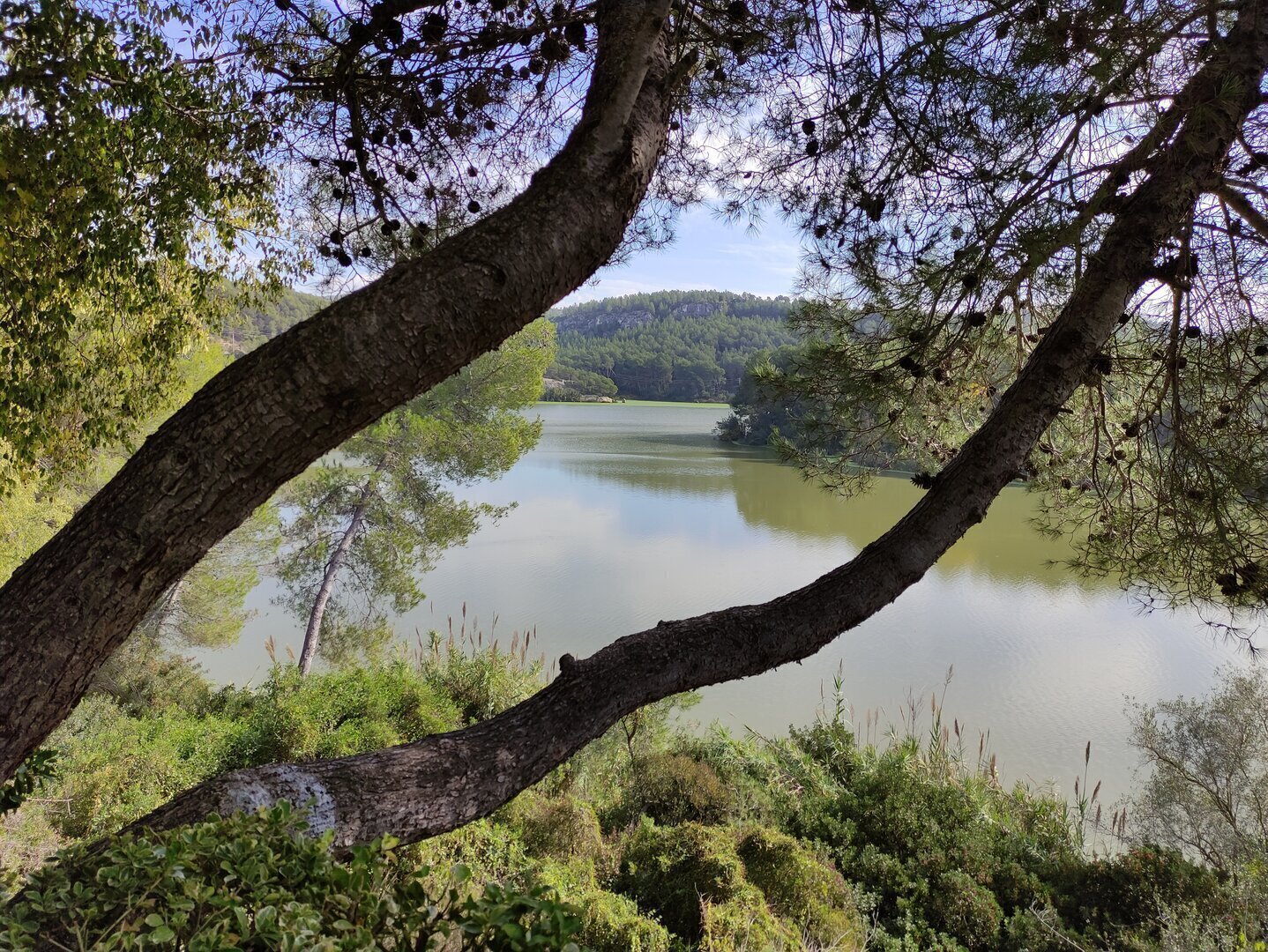 Imatge representativa