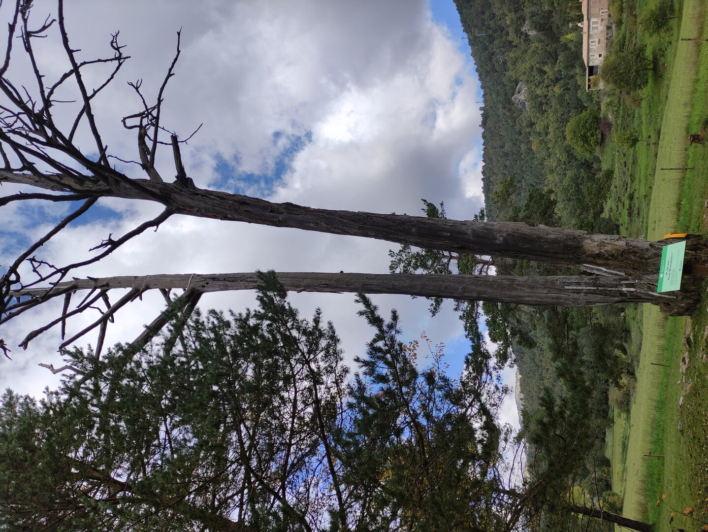 Imatge representativa