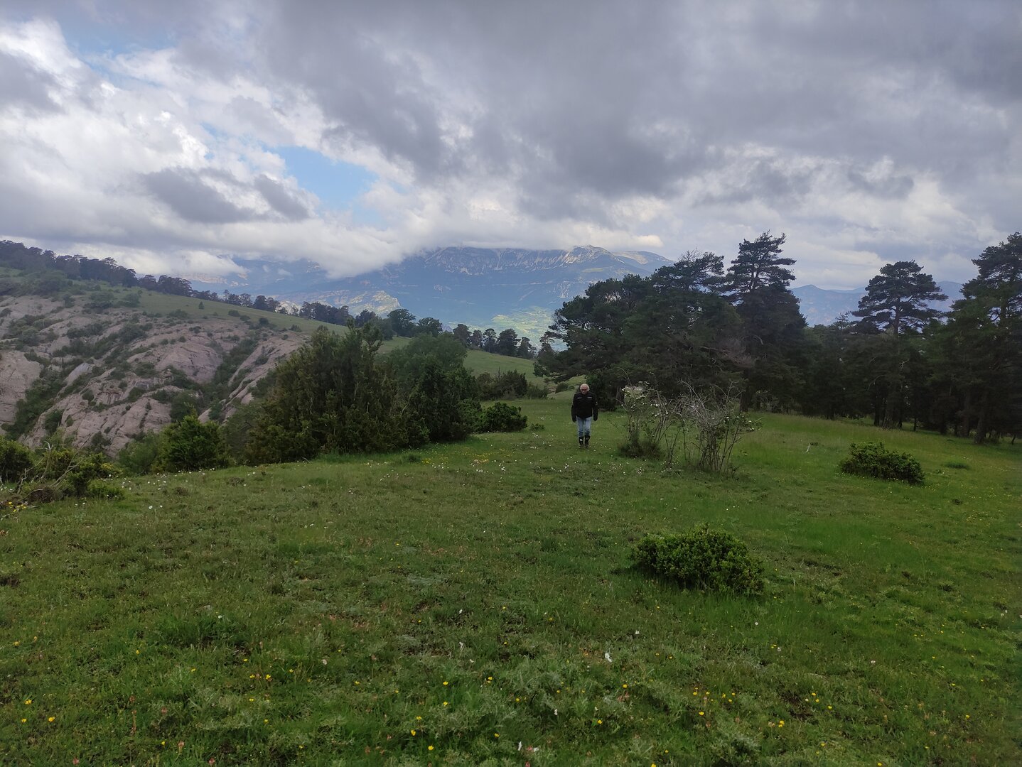 Imatge representativa