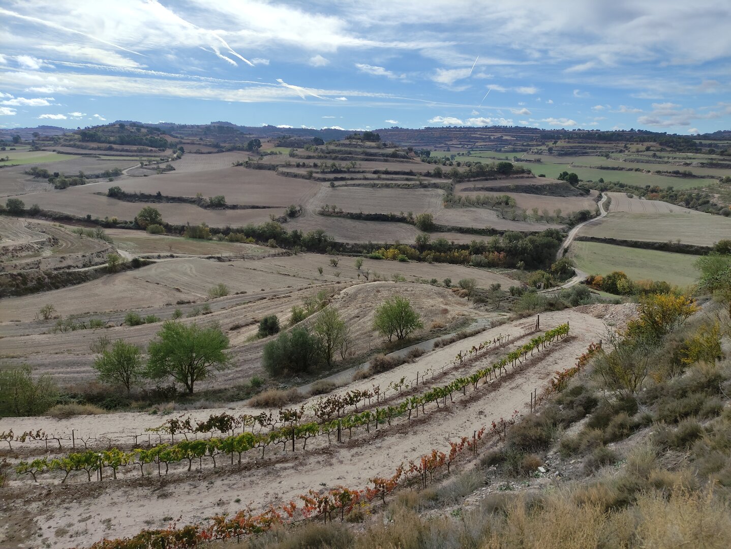 Imatge representativa