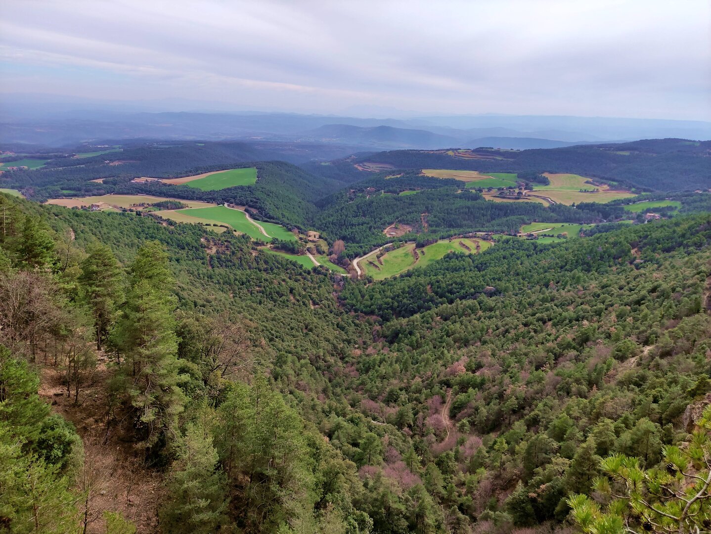 Imatge representativa