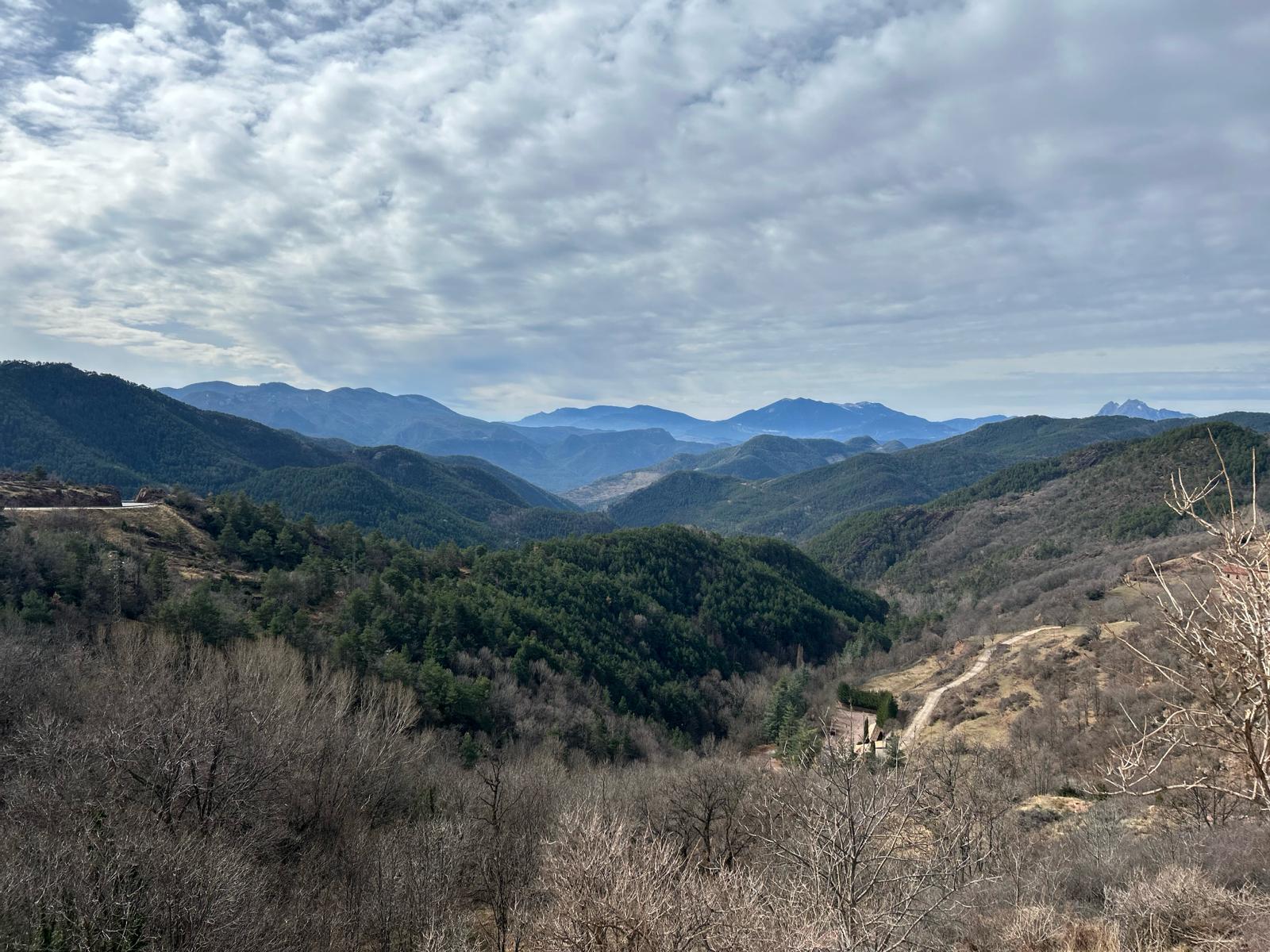 Imatge representativa