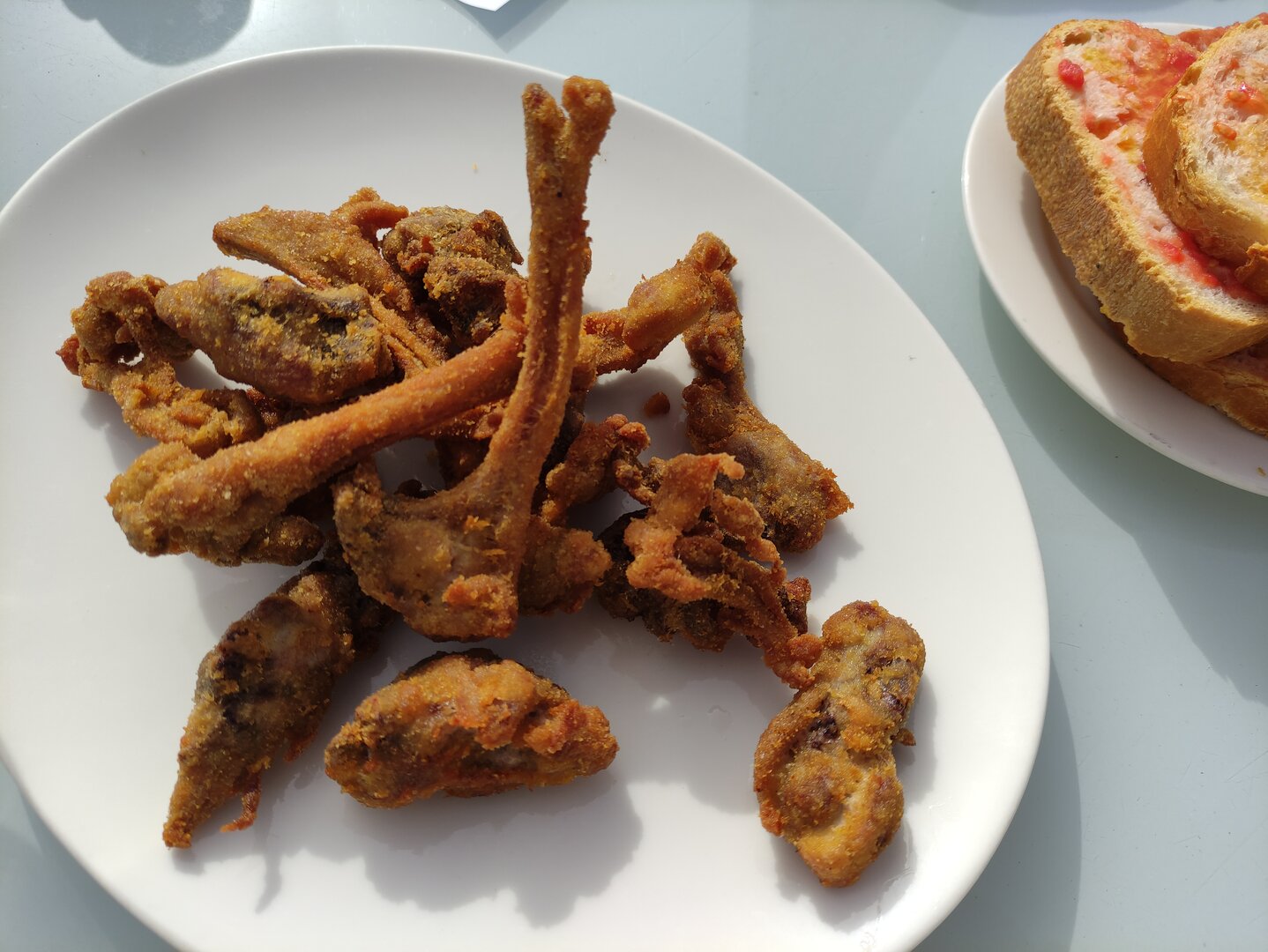 Imatge representativa