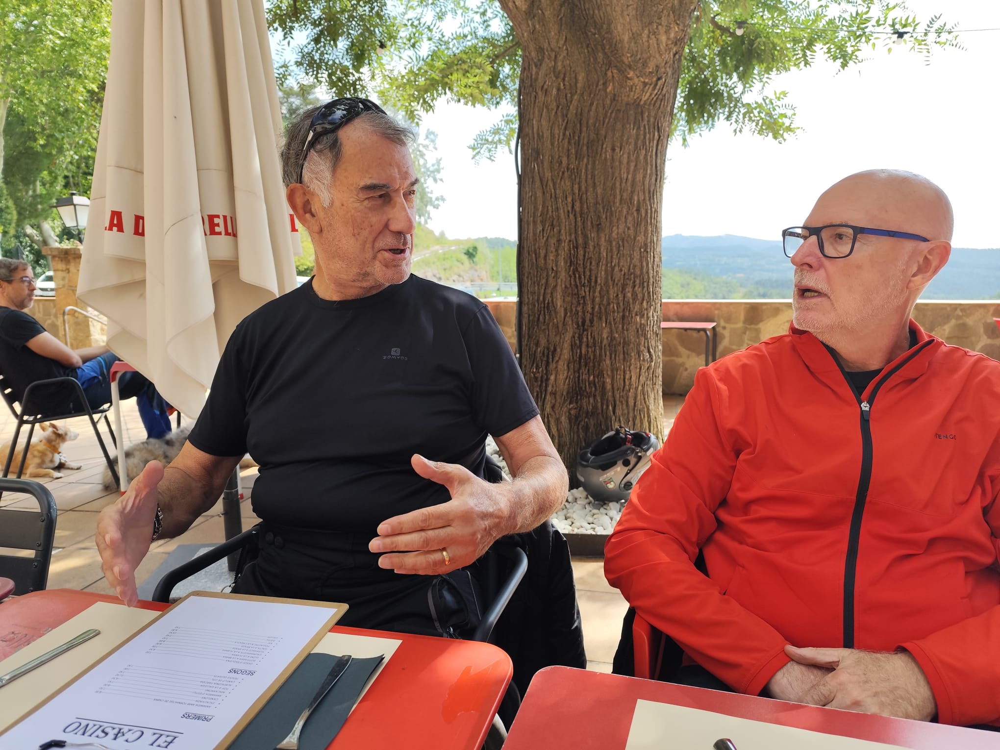 11S Diada Independendista