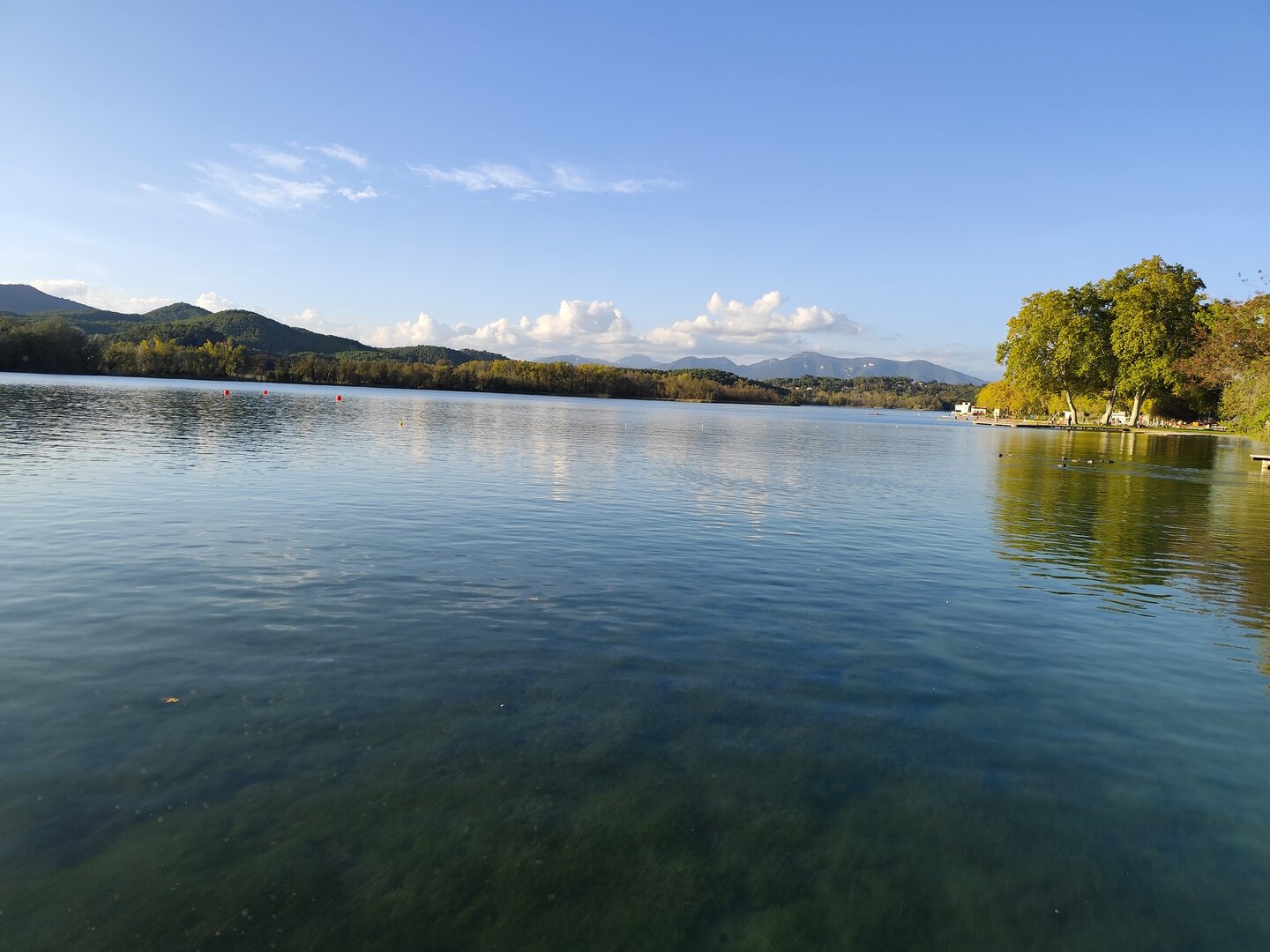 Imatge representativa