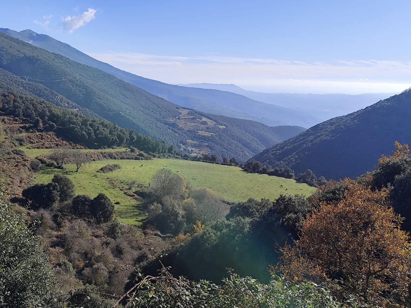 Imatge representativa