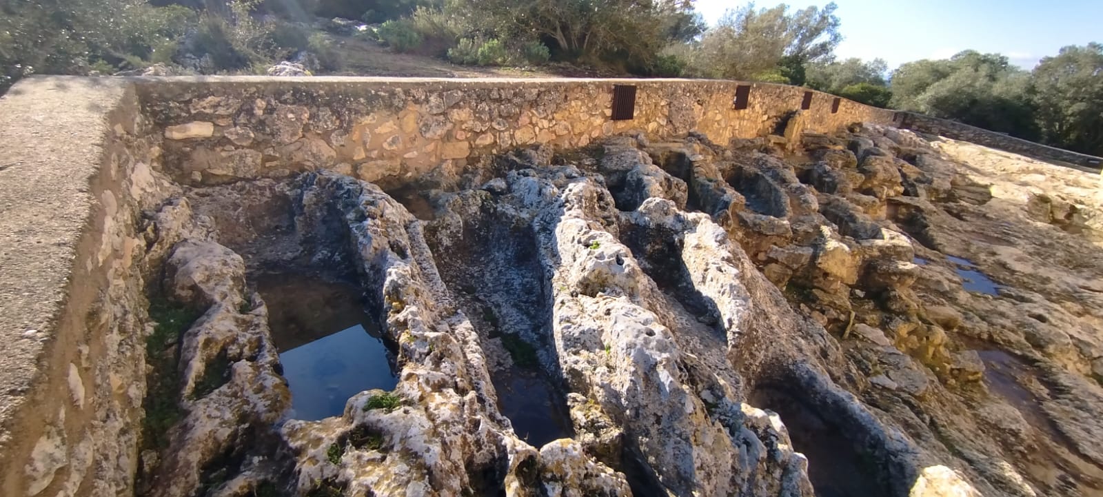 Imatge representativa