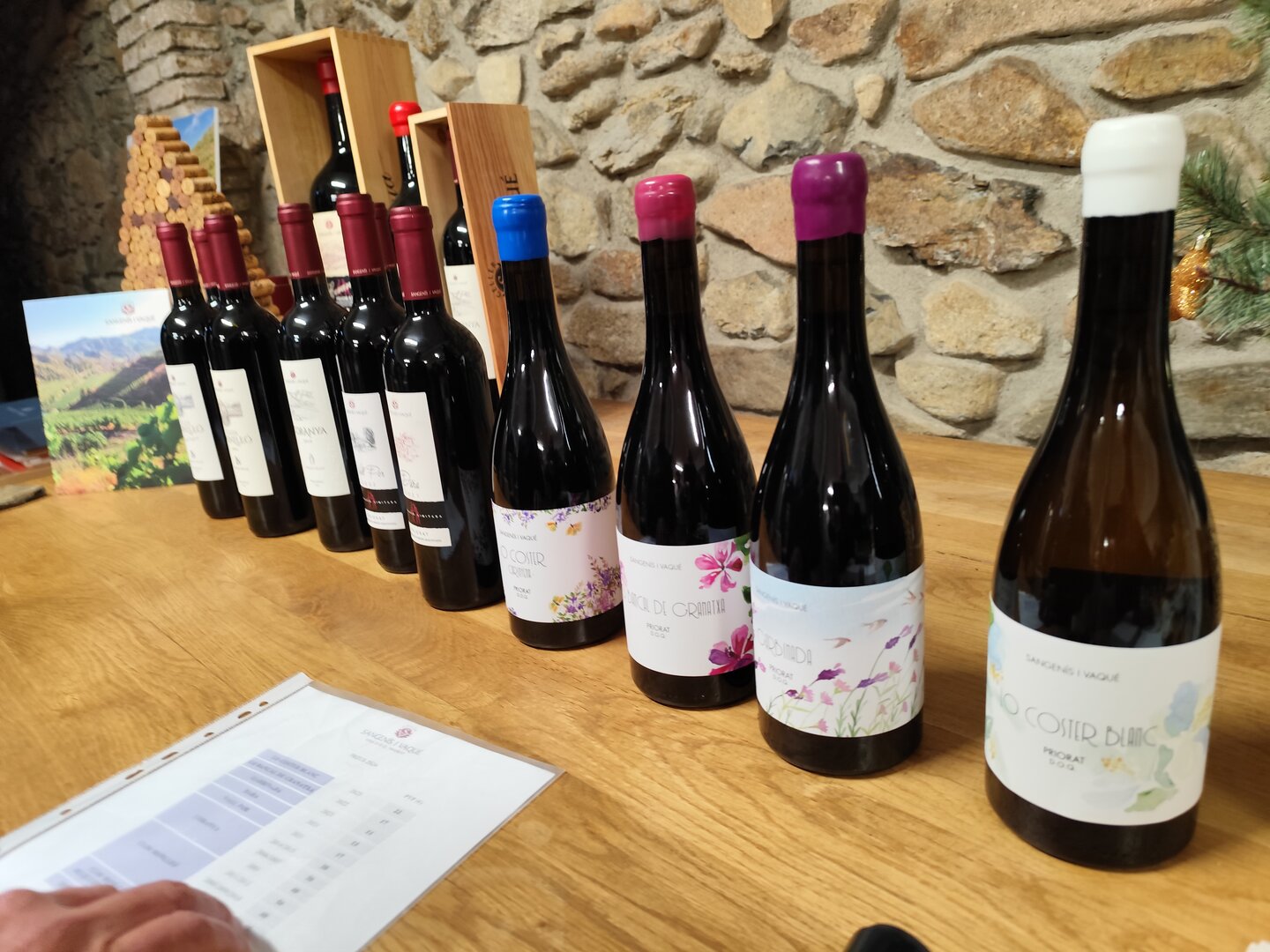 Imatge representativa