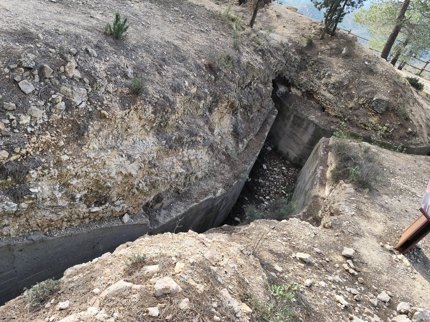 Imatge representativa