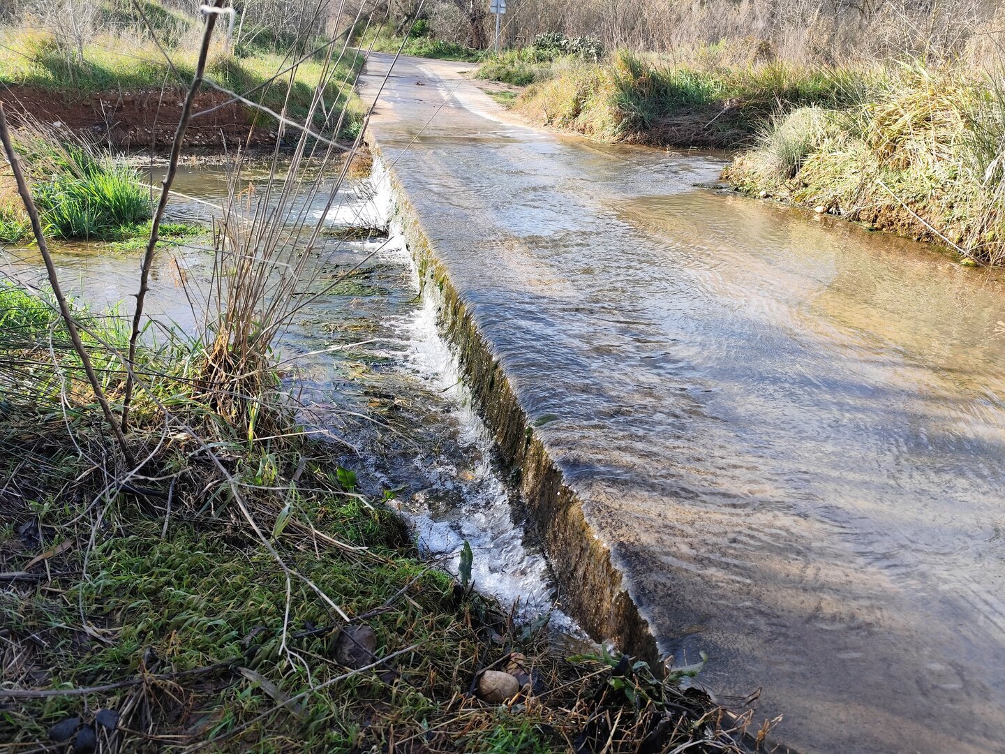 Imatge representativa