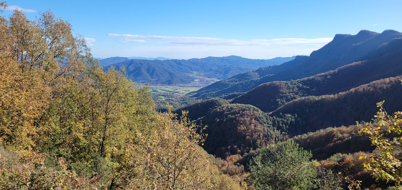 Imatge representativa