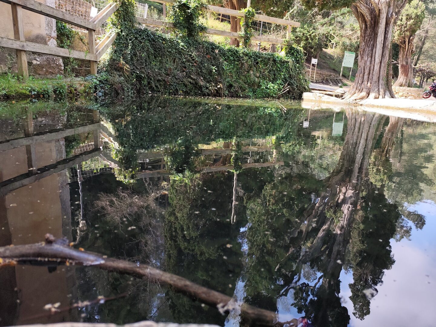 Imatge representativa