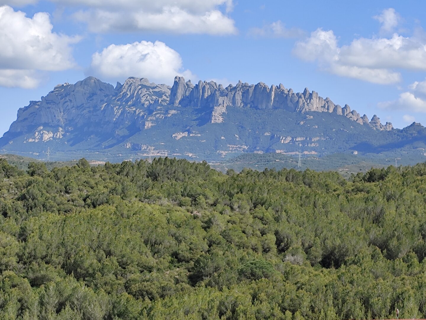 Imatge representativa