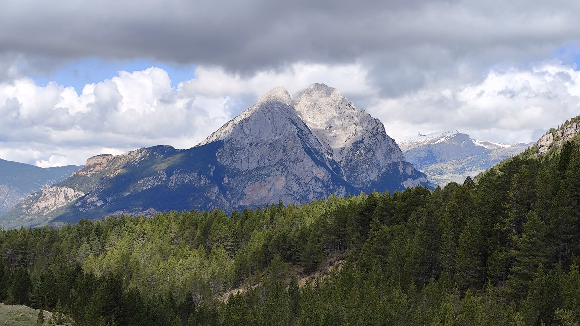 Imatge representativa