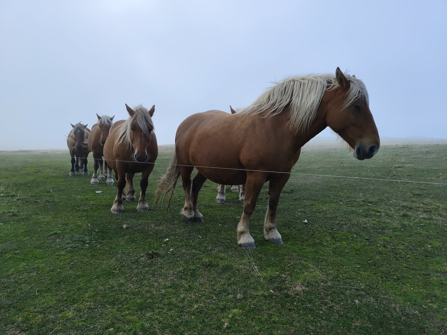 Imatge representativa