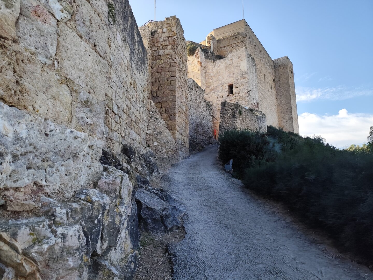 Imatge representativa