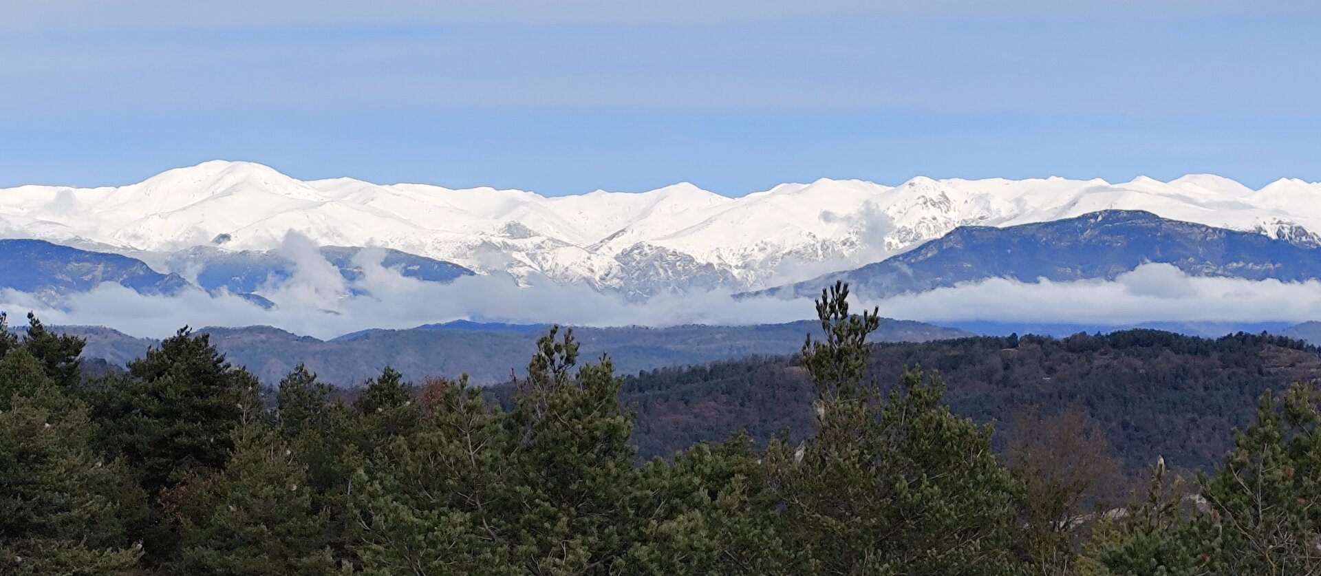 Imatge representativa